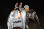 Paris Hilton arrives on an elephant at Shane Falguni bash in Cafe Fresh, Goa on 2nd Dec 2012 (48).JPG